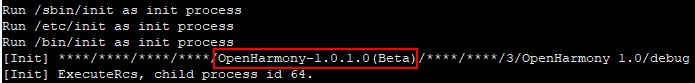 log-indicating-that-the-init-process-is-started-properly
