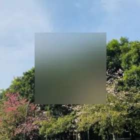 backgroundregular
